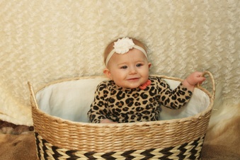 Enlarge photo 131