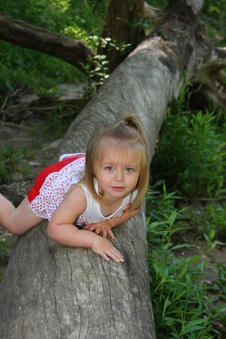 Enlarge photo 29