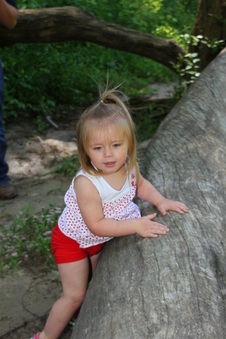 Enlarge photo 30