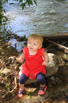 Enlarge photo 42