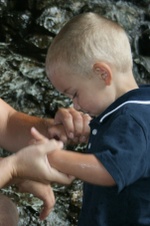 Enlarge photo 126