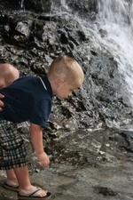 Enlarge photo 112