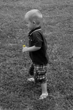 Enlarge photo 88