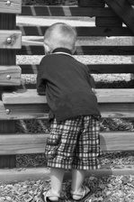 Enlarge photo 80
