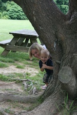 Enlarge photo 66
