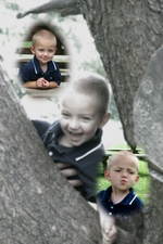 Enlarge photo 67
