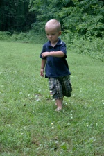 Enlarge photo 35