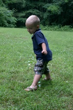 Enlarge photo 36