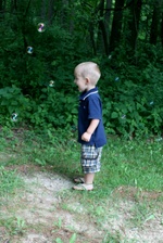 Enlarge photo 52