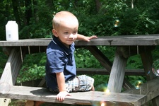 Enlarge photo 40