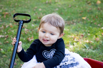 Enlarge photo 213