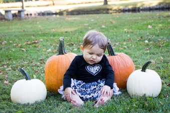 Enlarge photo 528
