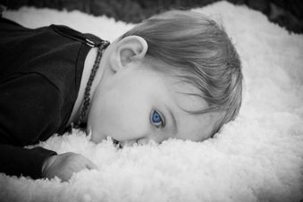 Enlarge photo 551