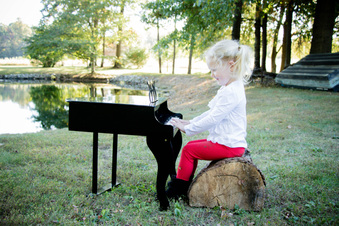 Enlarge photo 614
