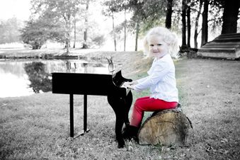 Enlarge photo 619
