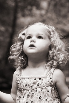 Enlarge photo 44