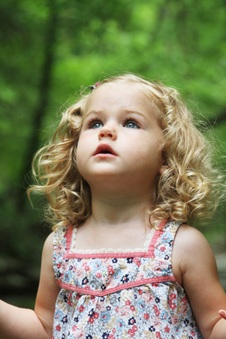 Enlarge photo 45
