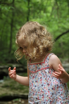 Enlarge photo 46
