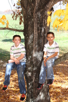 Enlarge photo 39