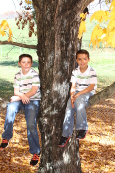 Enlarge photo 40