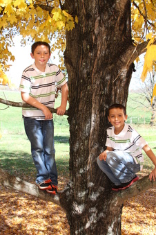 Enlarge photo 41