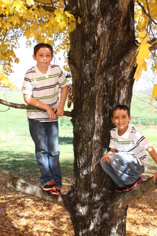 Enlarge photo 42