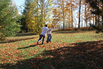 Enlarge photo 88