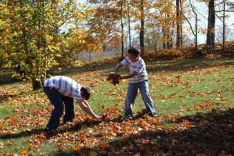 Enlarge photo 90