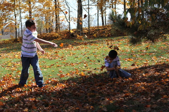 Enlarge photo 94