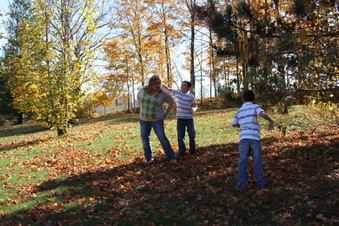 Enlarge photo 104