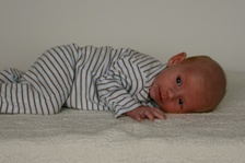 Enlarge photo 128