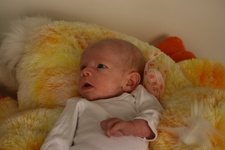 Enlarge photo 121