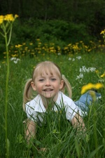 Enlarge photo 120