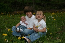 Enlarge photo 118