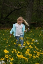 Enlarge photo 112