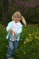 Enlarge photo 114