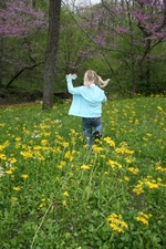Enlarge photo 110