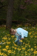 Enlarge photo 113