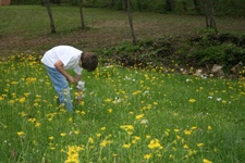 Enlarge photo 104