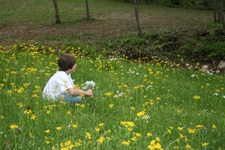 Enlarge photo 105