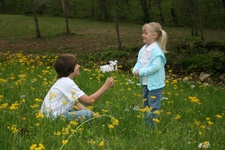 Enlarge photo 106