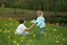 Enlarge photo 107