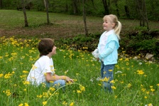 Enlarge photo 108