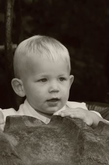 Enlarge photo 196