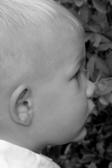 Enlarge photo 145