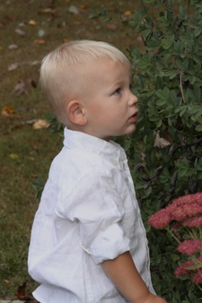 Enlarge photo 143
