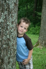 Enlarge photo 25