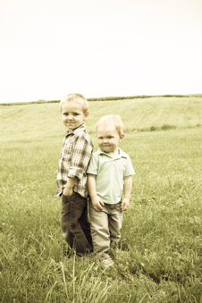 Enlarge photo 369