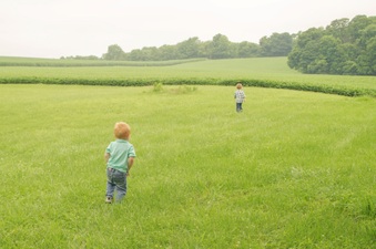 Enlarge photo 394