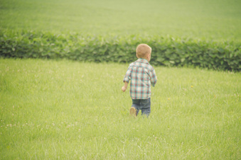 Enlarge photo 395
